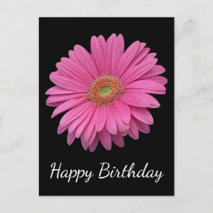 Floral Happy Birthday Pink Gerbera Daisy Black Postkarte