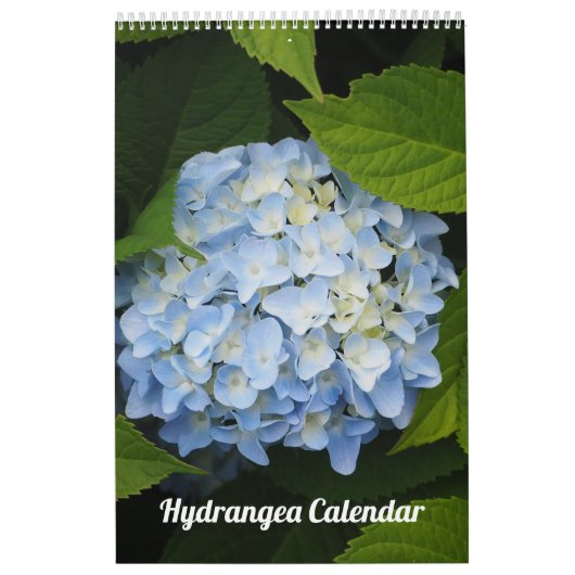 Floral Hydrangea Anpassbares Foto Kalender (Titelbild)