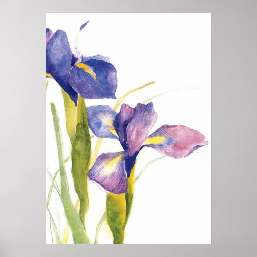 Floral Iris Wasserfarbe Poster (Vorne)