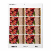 Floral Labels Floral (Vorne)