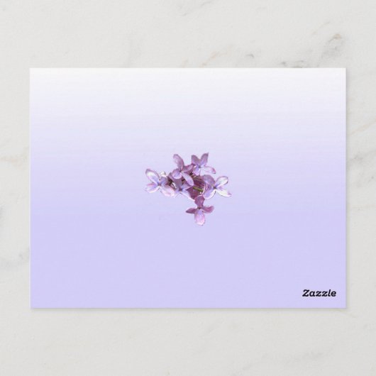 Floral Lilac Blume Hochzeit Tischnummer (Rückseite)