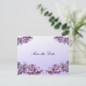 Floral Lilac-Blume Save the Date Ankündigungspostkarte (Stehend Vorderseite)