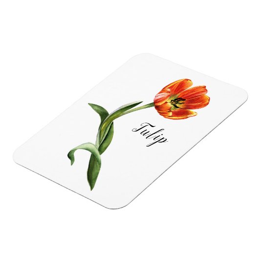 Floral Magnet (Linke Seite)