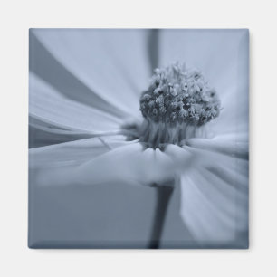 Floral Magnet