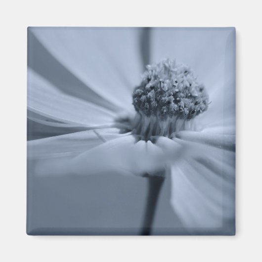 Floral Magnet (Vorne)