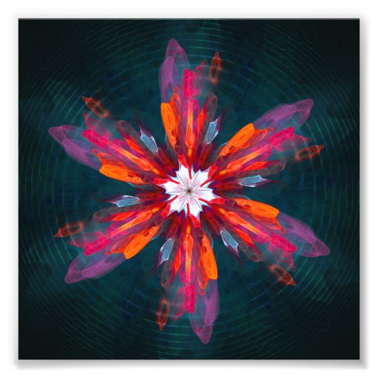Floral Mandala Flowers Orange Red Blue Abstract Fotodruck (Vorne)