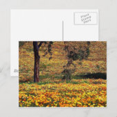 Floral Meadow Postkarte (Vorne/Hinten)
