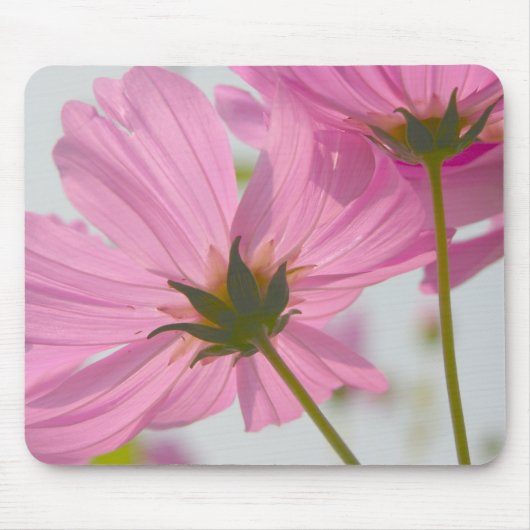 Floral Mousepad (Vorne)