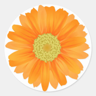 Floral Orange Gerbera Daisy Blume Runder Aufkleber