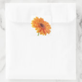 Floral Orange Gerbera Daisy Blume Wedding Party Quadratischer Aufkleber (Tasche)