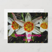 Floral Ostersegnung Feiertagspostkarte (Vorne/Hinten)