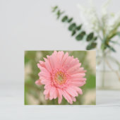 Floral Pink Gerbera Daisy Blume Liebe Postkarte (Stehend Vorderseite)
