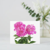 Floral Pink Peony Blume - Danke, Hallo Postkarte (Stehend Vorderseite)