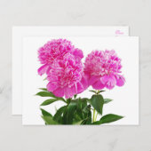 Floral Pink Peony Blume - Danke, Hallo Postkarte (Vorne/Hinten)