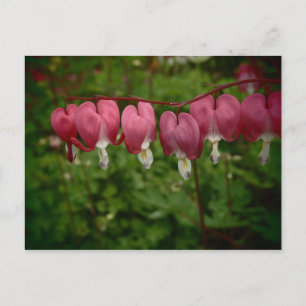 Floral Pink Tränendes Herz Postkarte