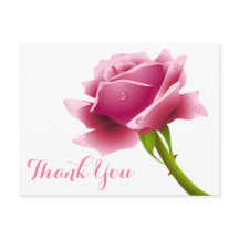 Floral Pink Vielen Dank Rose Blume