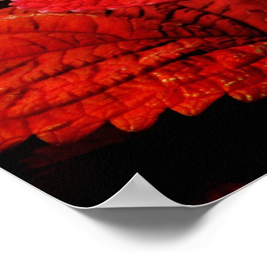 Floral Pond Poster (Ecke)