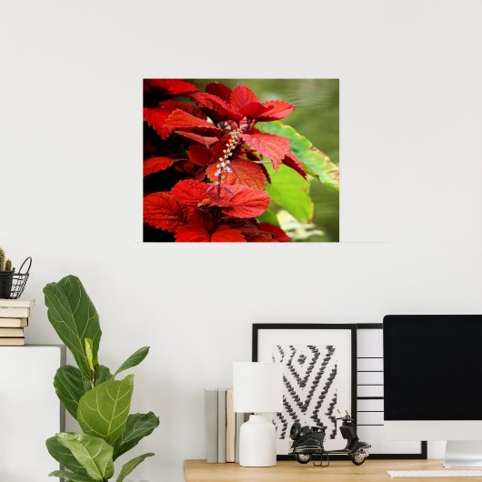 Floral Pond Poster (Heimbüro)