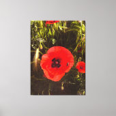 Floral Poppy Dreamer – Botanical Fantasy Art Leinwanddruck (Vorderseite)