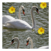 Floral Poster Swan (Vorderseite)