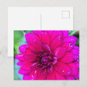 Floral Postkarte (Vorne/Hinten)