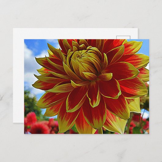 floral postkarte (Vorne/Hinten)