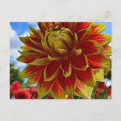 floral postkarte (Vorderseite)