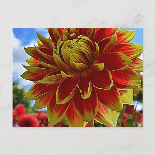 floral postkarte (Vorderseite)