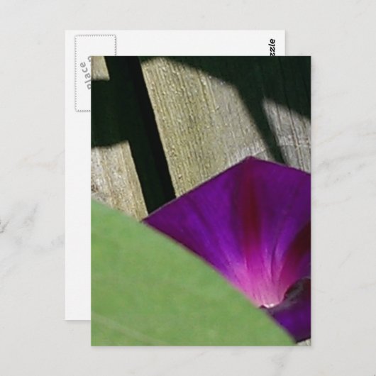 floral postkarte (Vorne/Hinten)