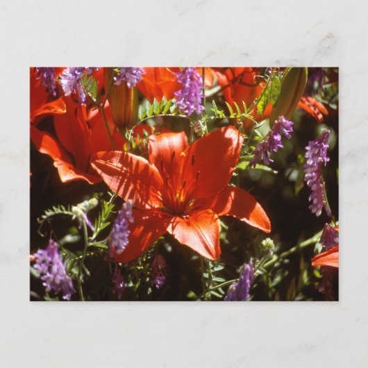 Floral Postkarte (Vorderseite)