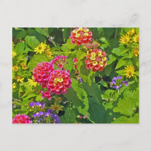 Floral Postkarte (Vorderseite)
