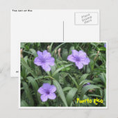 Floral Postkarte (Vorne/Hinten)