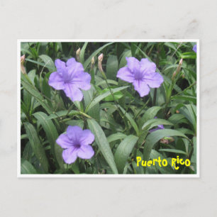 Floral Postkarte