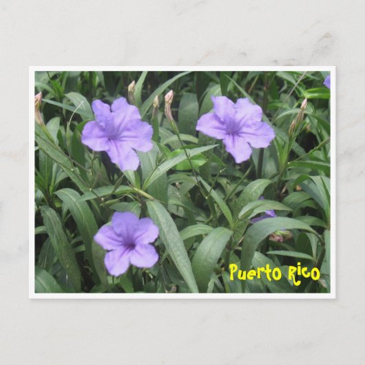 Floral Postkarte (Vorderseite)