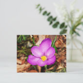 Floral Postkarte (Stehend Vorderseite)