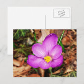 Floral Postkarte (Vorne/Hinten)