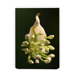 Floral Print Flexible Foto Magnet