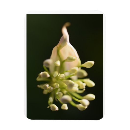 Floral Print Flexible Foto Magnet (Vertikal)