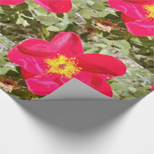 Floral Punch Geschenkpapier (Ecke)