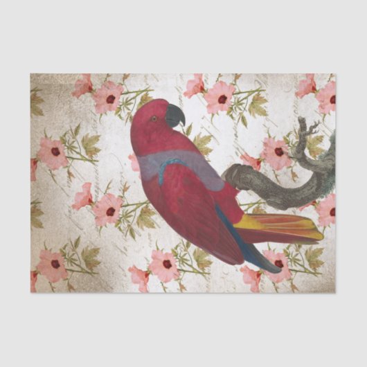 Floral Red Parrot Seidenpapier (Vorderseite)
