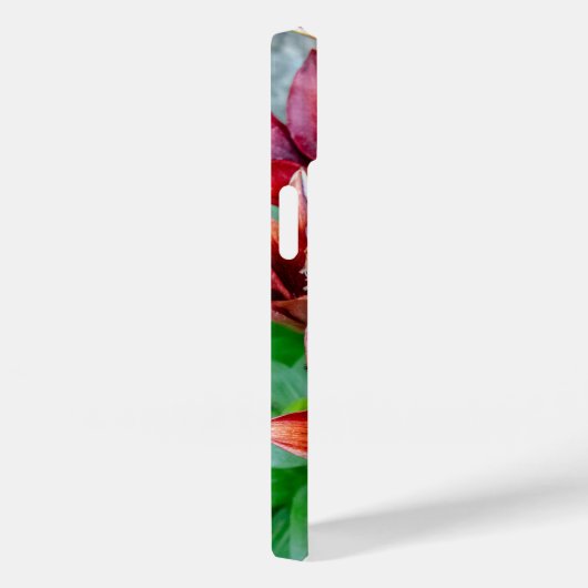 Floral Red Stargazer Lily Fotografie Case-Mate iPhone Hülle (Rückseite / Rechts)