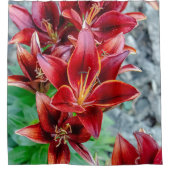 Floral Red Stargazer Lily Fotografie Duschvorhang (Vorderseite)