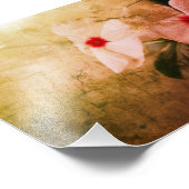 Floral Retro Image Kodak Berufliches Foto (Ecke)