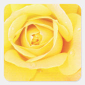 Floral Rose Flower Orange Yellow Easter Spring Quadratischer Aufkleber (Vorderseite)