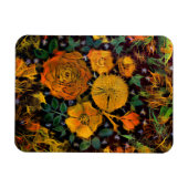 Floral Sparks Magnet (Horizontal)