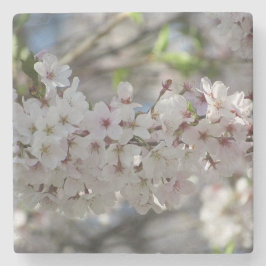 floral steinuntersetzer (Vorderseite)