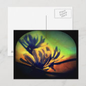 Floral Sunset View Postkarte (Vorne/Hinten)