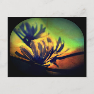 Floral Sunset View Postkarte