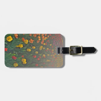 Floral Tulip Luggage Tag Gepäckanhänger