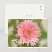 Floral Vielen Dank Pink Gerbera Daisy Blume Postkarte (Vorne/Hinten)